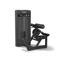 Разгибание спины Spirit SP-4310