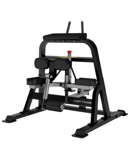 Сгибание ног стоя Hasttings Digger HD018-5 фото от интернет-магазина Atlantov.net