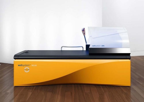 СПА-купол к гидромассажным ваннам Wellsystem фото от интернет-магазина Atlantov.net