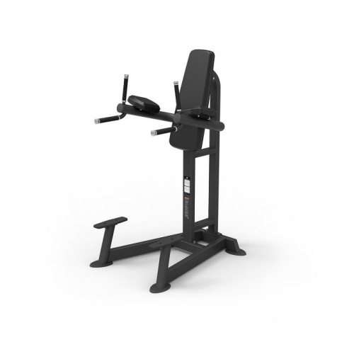 Пресс/брусья Spirit SP-4215 фото от интернет-магазина Atlantov.net