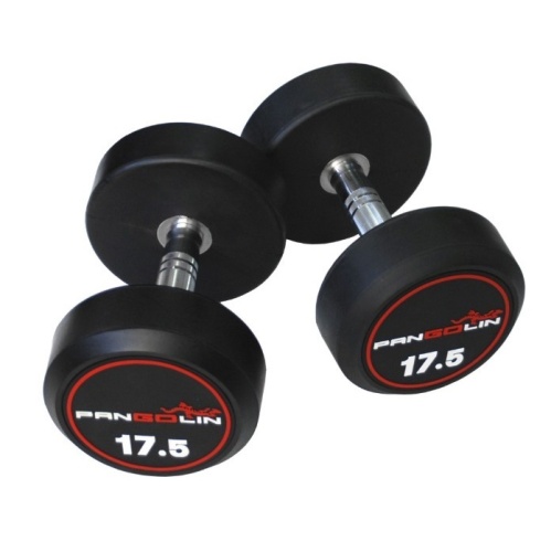 Набор обрезиненных гантелей Pangolin Fitness DB145B от 27.5 до 50 кг фото от интернет-магазина Atlantov.net
