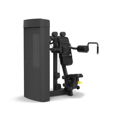 Дельт-машина Spirit SP-4322 фото от интернет-магазина Atlantov.net