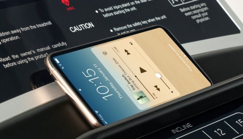 Беговая дорожка Titanium Masters Physiotech TGF TFT фото от интернет-магазина Atlantov.net