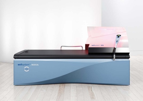 СПА-купол к гидромассажным ваннам Wellsystem фото от интернет-магазина Atlantov.net