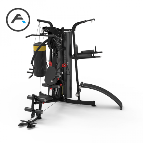 Мультистанция 3-х сторонняя Apex Intense F801 фото от интернет-магазина Atlantov.net