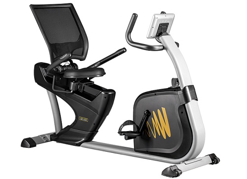 Велотренажер Hasttings Wega RS400 фото от интернет-магазина Atlantov.net