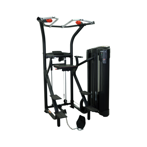 Гравитрон Inspire Fitness DMCD фото от интернет-магазина Atlantov.net