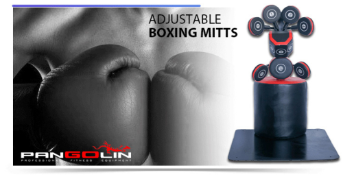 Станция для отработки ударов Pangolin Fitness Boxmaster BXM042B фото от интернет-магазина Atlantov.net