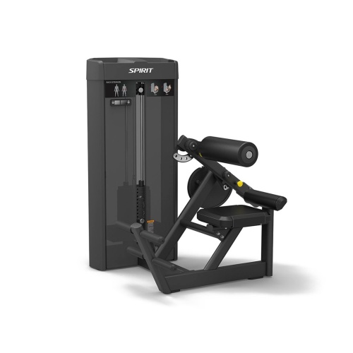 Разгибание спины Spirit SP-4310 фото от интернет-магазина Atlantov.net