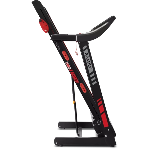 Беговая дорожка Family ProxyLine TM 45 фото от интернет-магазина Atlantov.net