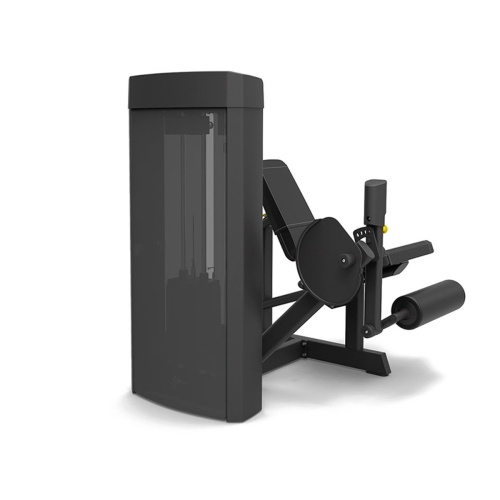 Разгибание ног сидя Spirit SP-4305 фото от интернет-магазина Atlantov.net