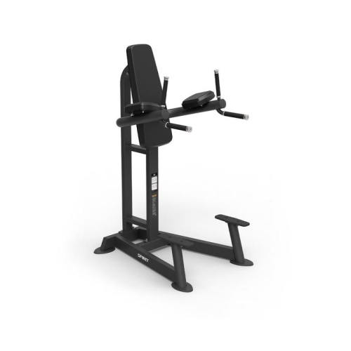 Пресс/брусья Spirit SP-4215 фото от интернет-магазина Atlantov.net