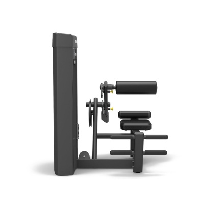 Разгибание спины Spirit SP-4310