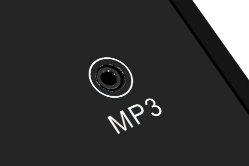 Беговая дорожка Titanium Masters Physiotech TBM фото от интернет-магазина Atlantov.net