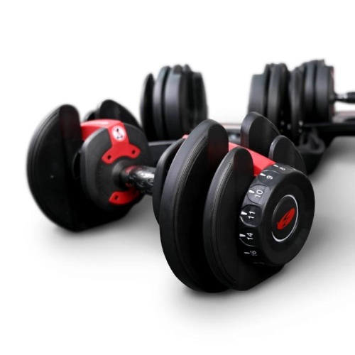 Гантель с регулировкой веса Bowflex Selecttech 552i фото от интернет-магазина Atlantov.net