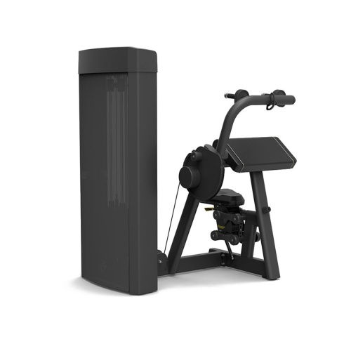 Трицепс Spirit SP-4308 фото от интернет-магазина Atlantov.net