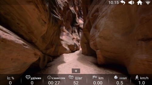 Беговая дорожка Titanium Masters Physiotech TGF TFT фото от интернет-магазина Atlantov.net