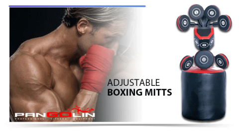 Станция для отработки ударов Pangolin Fitness Boxmaster BXM042B фото от интернет-магазина Atlantov.net