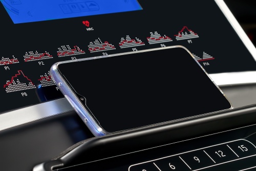 Беговая дорожка Titanium Masters Physiotech TGF фото от интернет-магазина Atlantov.net