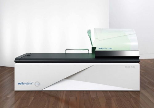 СПА-купол к гидромассажным ваннам Wellsystem фото от интернет-магазина Atlantov.net