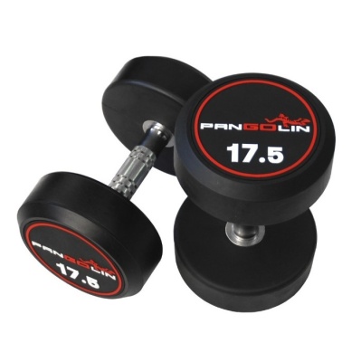 Набор обрезиненных гантелей Pangolin Fitness DB145B от 2.5 до 25 кг