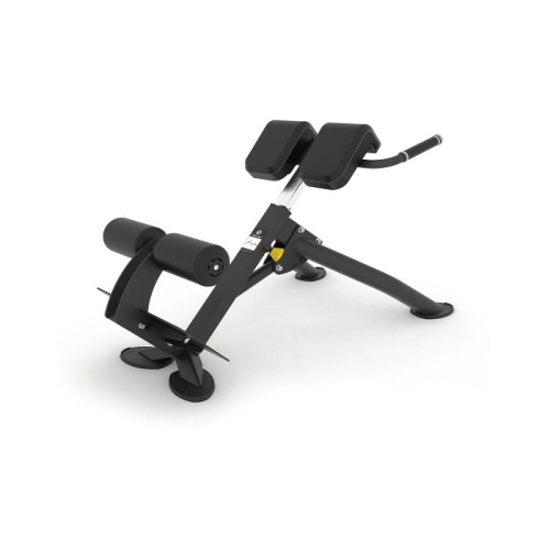 Гиперэкстензия под углом 45 градусов Spirit SP-4220 фото от интернет-магазина Atlantov.net