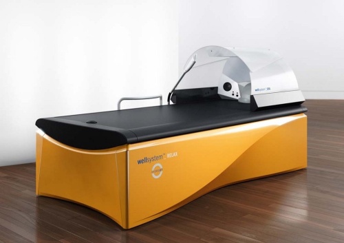 СПА-купол к гидромассажным ваннам Wellsystem фото от интернет-магазина Atlantov.net