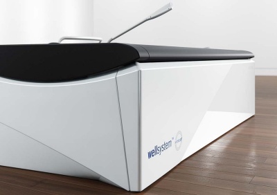 Бесконтактная гидромассажная ванна Wellsystem Relax Plus