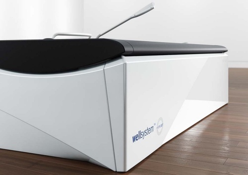 Бесконтактная гидромассажная ванна Wellsystem Relax Plus фото от интернет-магазина Atlantov.net