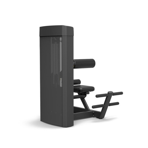 Разгибание спины Spirit SP-4310 фото от интернет-магазина Atlantov.net