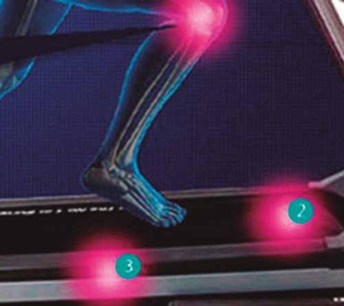 Беговая дорожка BH Fitness Pioneer R3 TFT фото от интернет-магазина Atlantov.net