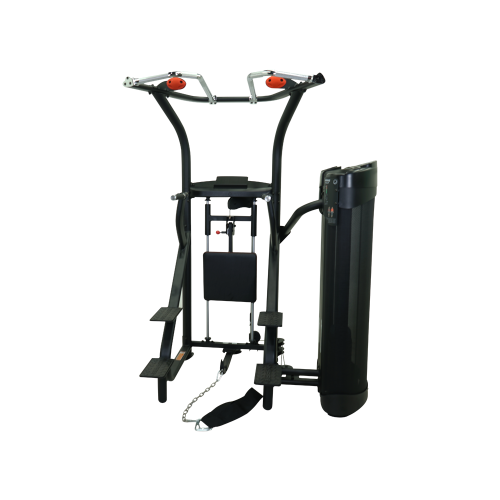 Гравитрон Inspire Fitness DMCD фото от интернет-магазина Atlantov.net