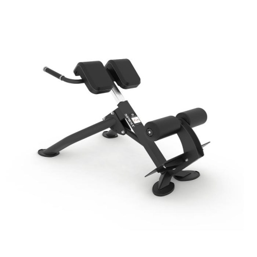 Гиперэкстензия под углом 45 градусов Spirit SP-4220 фото от интернет-магазина Atlantov.net