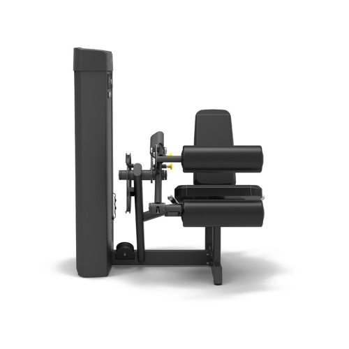 Сгибание ног сидя Spirit SP-4306 фото от интернет-магазина Atlantov.net