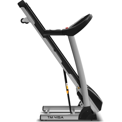 Беговая дорожка Family TM 415A
