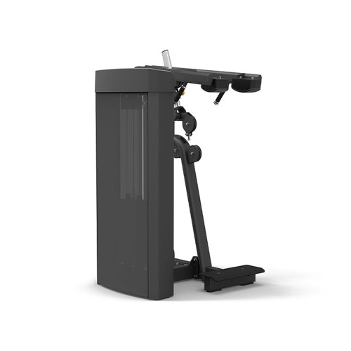 Голень стоя Spirit SP-4317 фото от интернет-магазина Atlantov.net