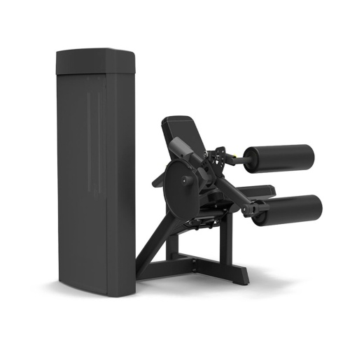 Сгибание ног сидя Spirit SP-4306 фото от интернет-магазина Atlantov.net